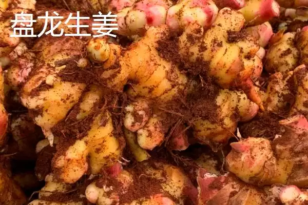 了解重庆市丰都县特产的方法和重点?养猪与当地特产产业有哪些关联细节?插图8 了解重庆市丰都县特产的方法和重点?养猪与当地特产产业有哪些关联细节?插图8