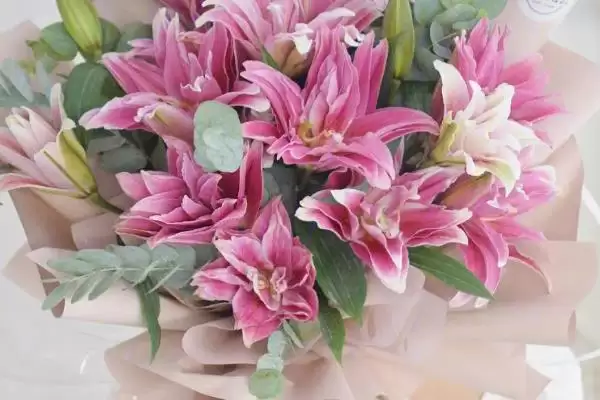 图片[5]-老婆生日的送花选择 ,送老婆生日花选玫瑰有何寓意？-会东网