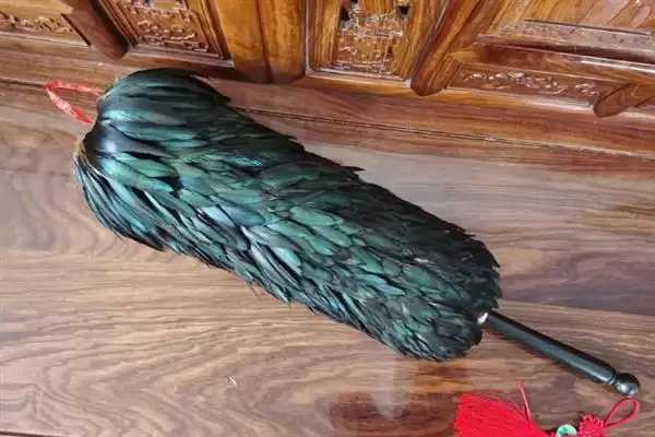 了解小鸡长羽毛时间节点的方法和重点？养鸡要做好哪些生长发育监测？插图4