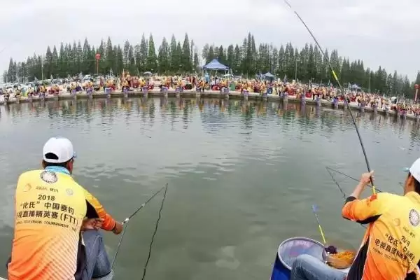 图片[4]-罗非鱼容易钓吗 ,罗非鱼的垂钓难度大不大-会东网