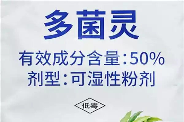 图片[3]-修剪圆锥绣球的方法和重点？修剪圆锥绣球要做好哪些细节？-会东网