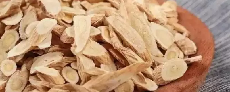 北芪与黄芪有什么区别,在药效上考虑不会有太大区别-会东网