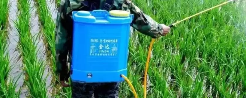 使用尿素肥的浓度？了解使用尿素肥浓度要掌握哪些合适的配比要点？-会东网