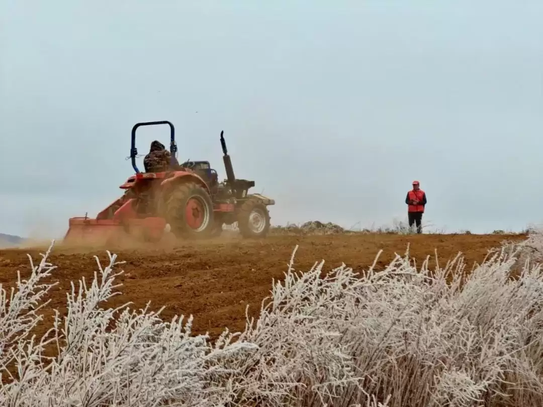 会东县：春耕图景展新颜，传统现代共谱乡村振兴曲插图1