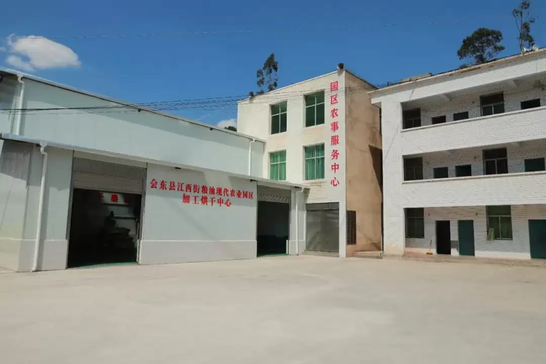 江西街乡：油菜花海映振兴，粮油园区谱新篇插图4