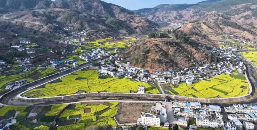 江西街乡：油菜花海映振兴，粮油园区谱新篇插图2