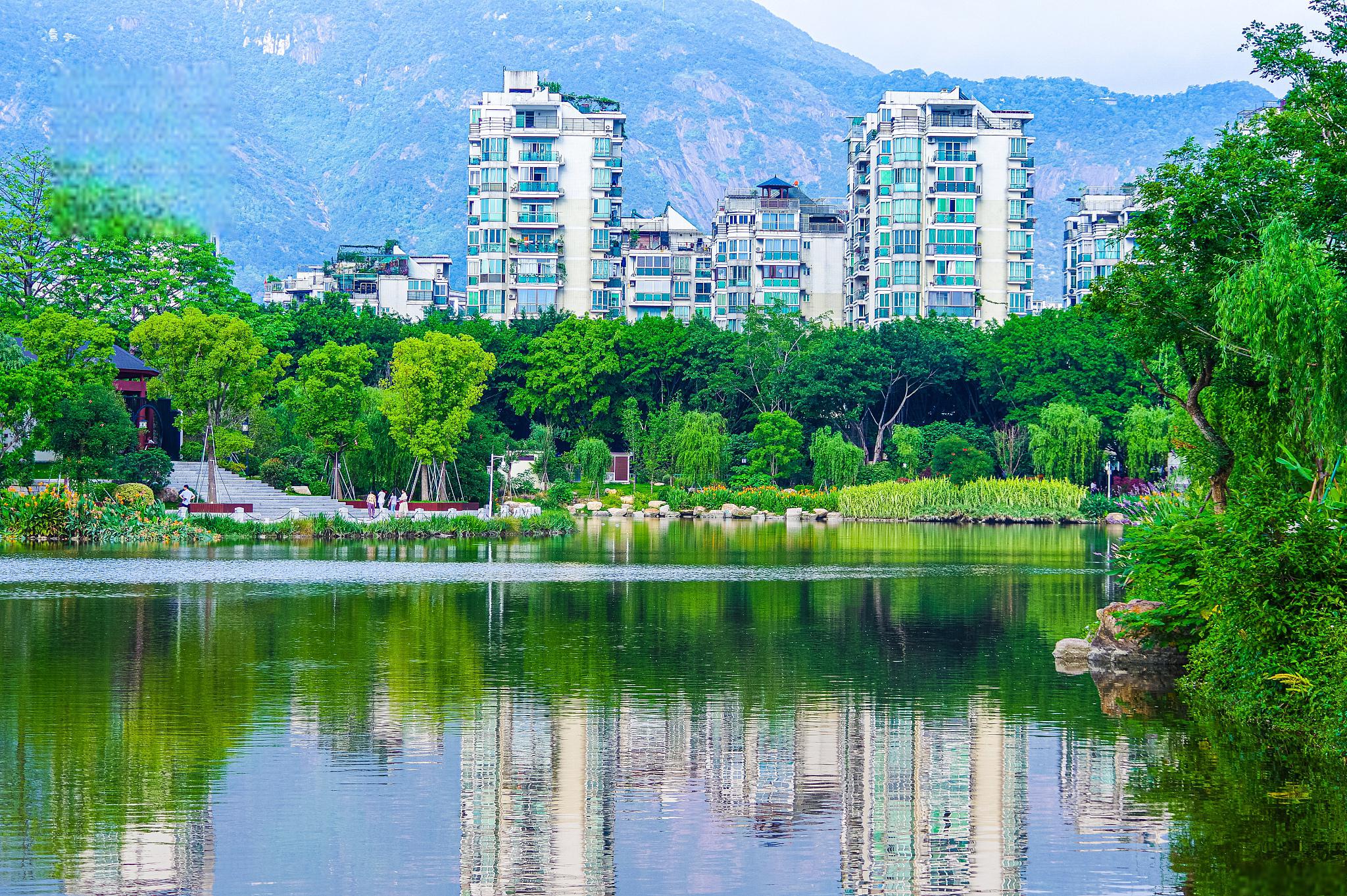 专题-仁和区-会东网