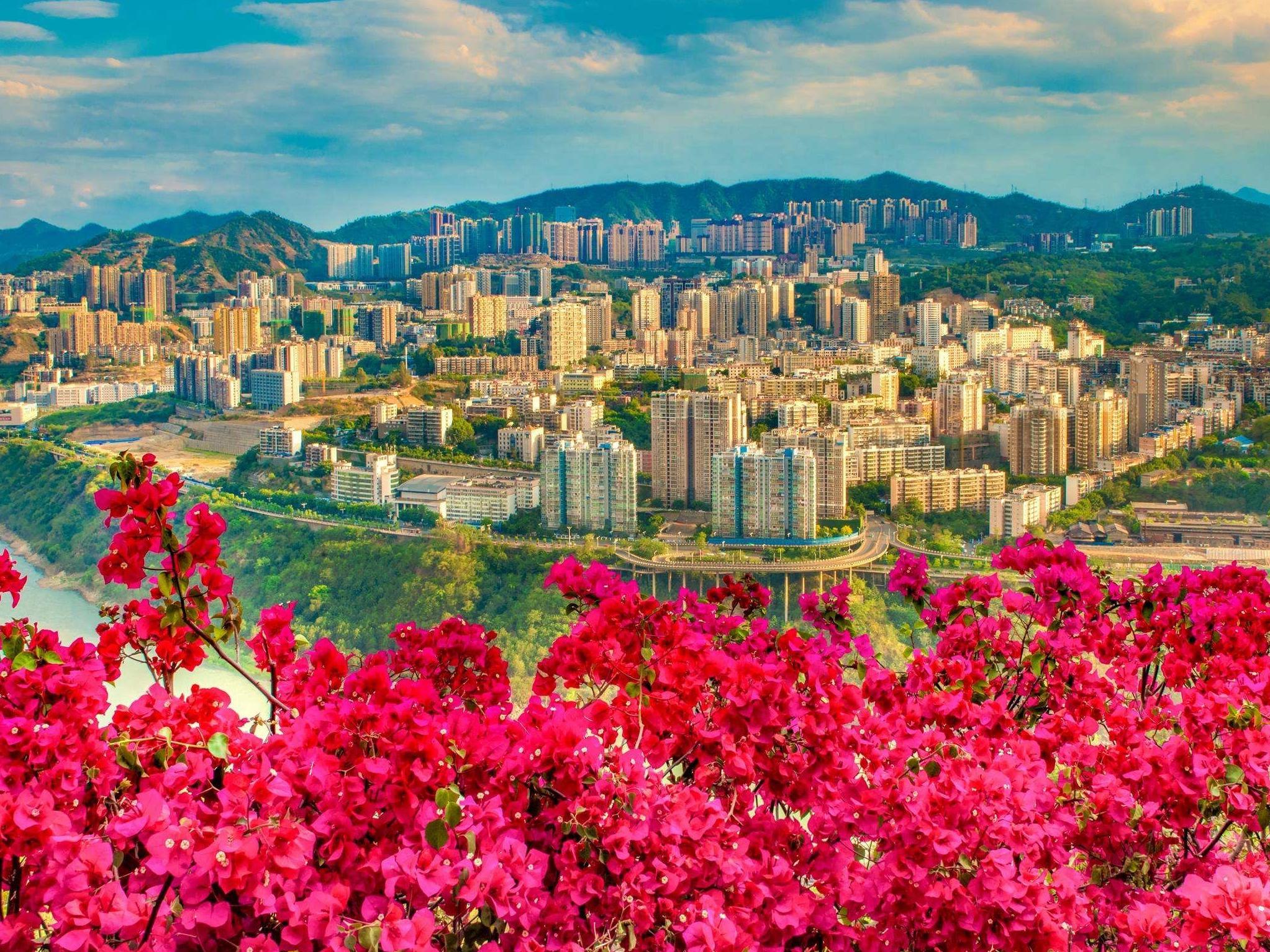 专题-西区-会东网