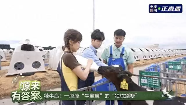 央视聚焦飞鹤北纬 47°,溯源直播引爆四千万流量,见证品质力量-会东网