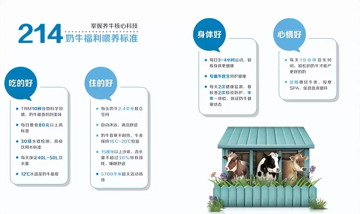 从央视专访看三只小牛：如何以创新重塑中国牛奶版图插图4