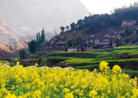 会东县的区号是多少?0834会东县电话区号全解析插图 会东县的区号是多少?0834会东县电话区号全解析插图