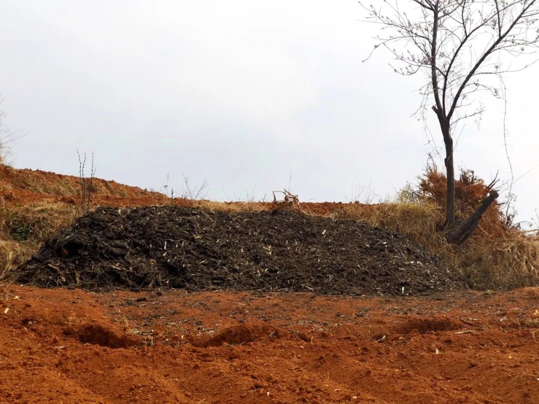 会东春播新动向：农家肥成 “香饽饽”，助力农业新发展-会东网