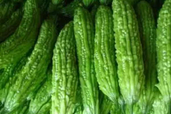 苦瓜传入中国的时间 ,苦瓜在宋元时期如何传入中国的？插图1