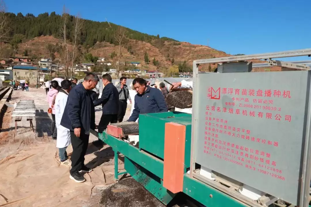 会东：以精细化育苗，推动烟草产业高质量发展插图2