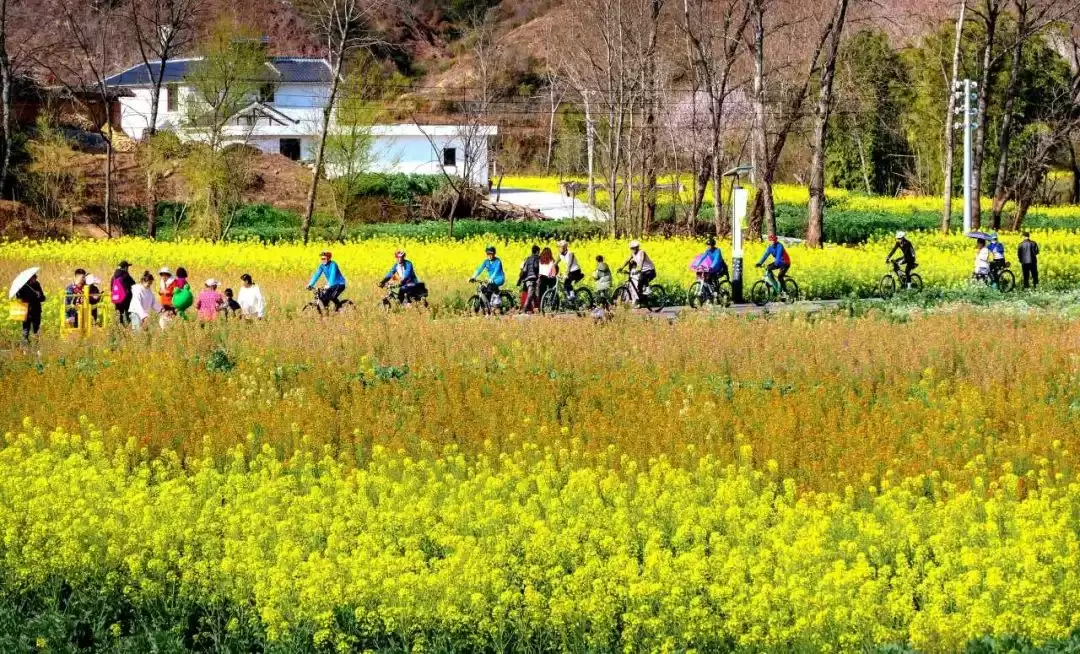 月月花漾会东,四季皆是山河来信插图 月月花漾会东,四季皆是山河来信插图
