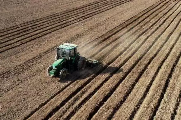 苦瓜的种植方法 ,苦瓜在什么样的土地种植为宜呢?插图1 苦瓜的种植方法 ,苦瓜在什么样的土地种植为宜呢?插图1