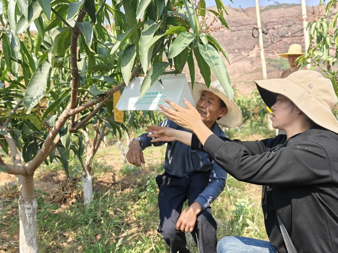 会东县农业培训与统防统治双管齐下 铺就乡村振兴路插图1