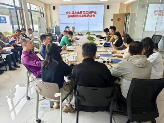 会东县县长宋程凡简历公开：从政经历与工作成就一览-会东网