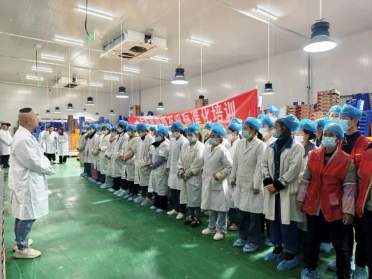 会东县在线最新招聘信息网查询指南：轻松获取本地招聘信息-会东网