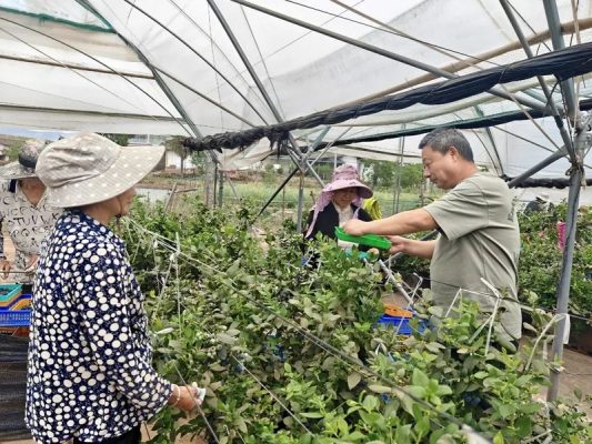 会东县在线最新招聘信息网查询指南：轻松获取本地招聘信息插图1