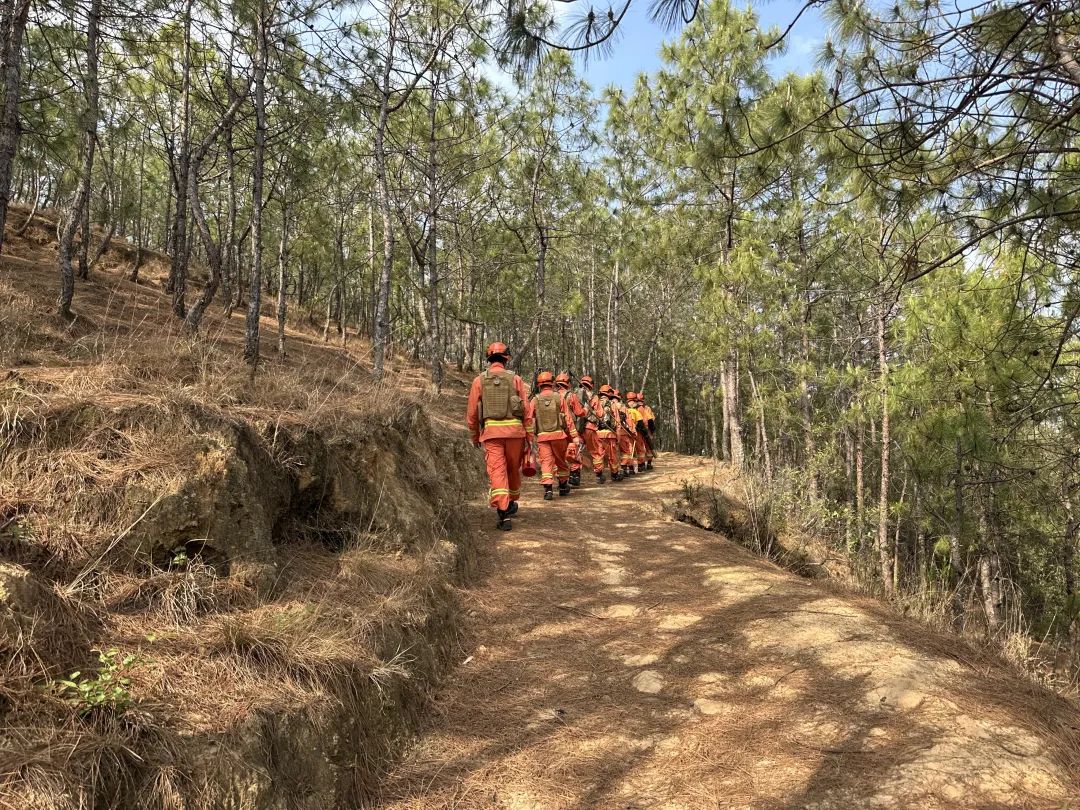 “五一”假期：会东县多举措筑牢森林草原防灭火安全防线插图