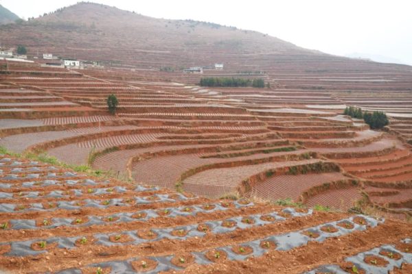 会东县铅锌镇地图详解:区位、交通与资源分布全览-会东网