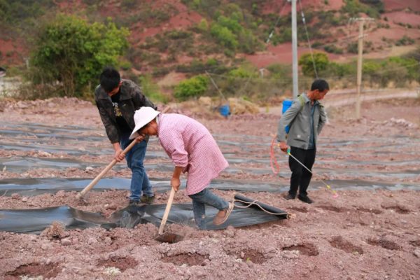 会东县是哪个省的城市?四川省凉山州会东县详细介绍插图1 会东县是哪个省的城市?四川省凉山州会东县详细介绍插图1