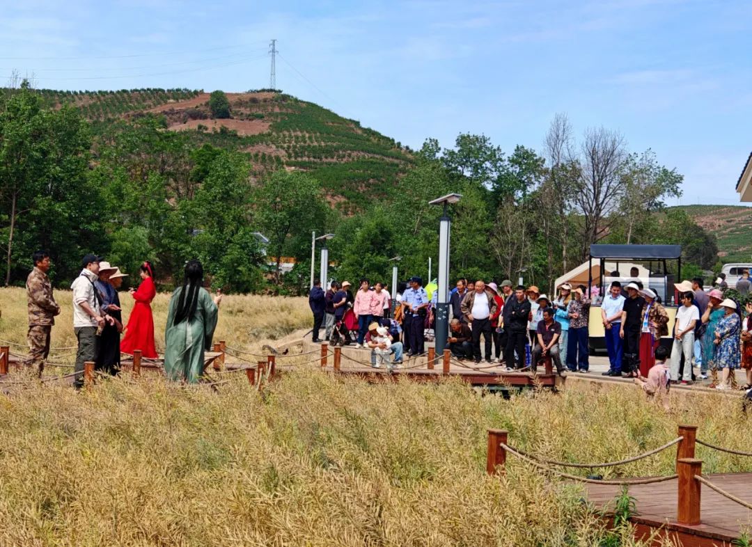 “陌上江湖·姜州侠影”启幕：于姜州镇邂逅文旅融合的诗意江湖插图1