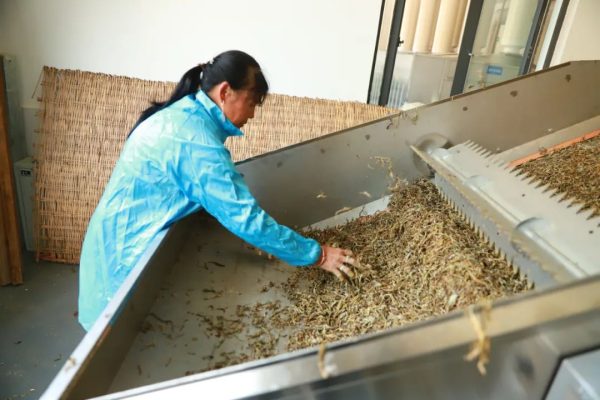 会东彭忠:揭秘会东县知名企业家彭忠的成功之路插图1 会东彭忠:揭秘会东县知名企业家彭忠的成功之路插图1