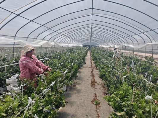 会东在线最新招聘今天：2024最新岗位信息汇总插图1