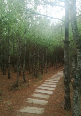 会东的景区有哪些?会东必游景点全攻略-会东网