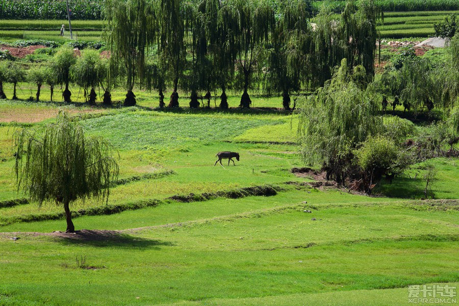 四川省大凉山会东县旅游攻略:探秘川滇交界处的世外桃源-会东网