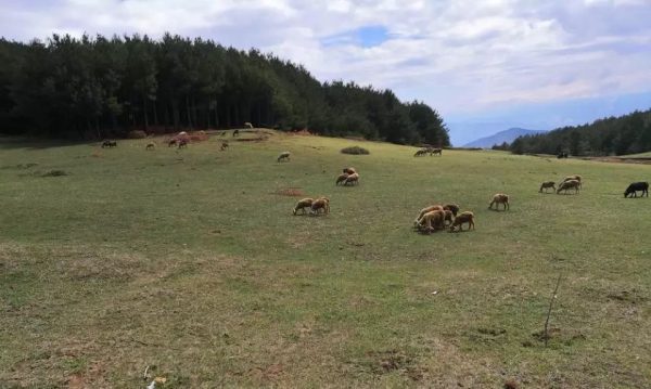 会东县旅游必去的景点推荐：探秘川南秘境必打卡的10个绝美之地-会东网