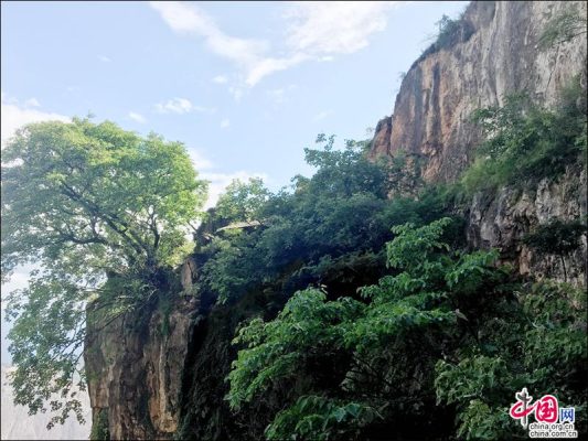 会东县会东镇旅游攻略:探访这座川南小镇的魅力-会东网