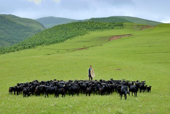 会东县姜洲镇旅游攻略:探访川南秘境小镇-会东网