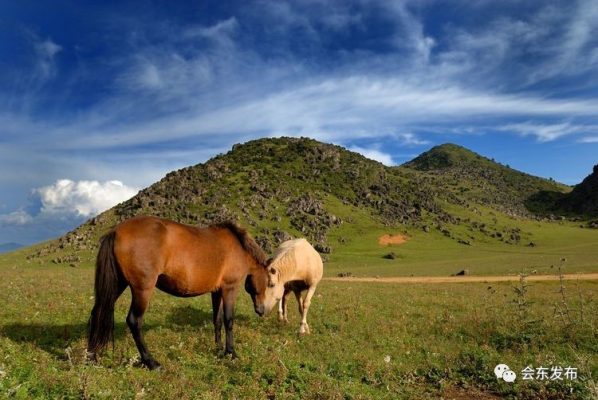 会东县平均海拔多少米啊?详细解析会东县海拔高度插图1 会东县平均海拔多少米啊?详细解析会东县海拔高度插图1