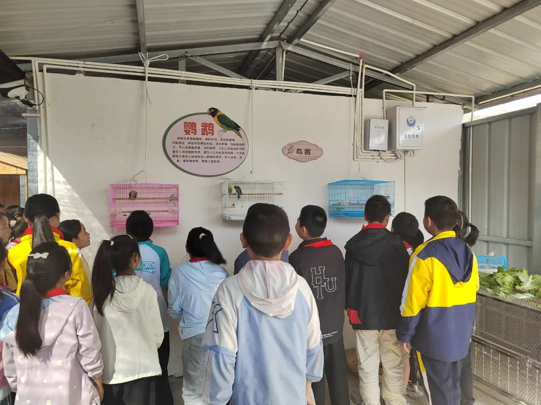 会东县第一小学践行五育并举 | 劳动教育实践基地赋能学生成长插图3 会东县第一小学践行五育并举 | 劳动教育实践基地赋能学生成长插图3