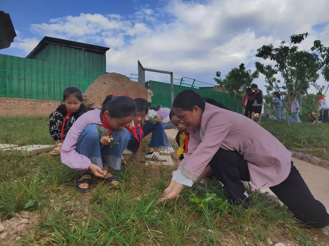 会东县第一小学践行五育并举 | 劳动教育实践基地赋能学生成长插图2 会东县第一小学践行五育并举 | 劳动教育实践基地赋能学生成长插图2