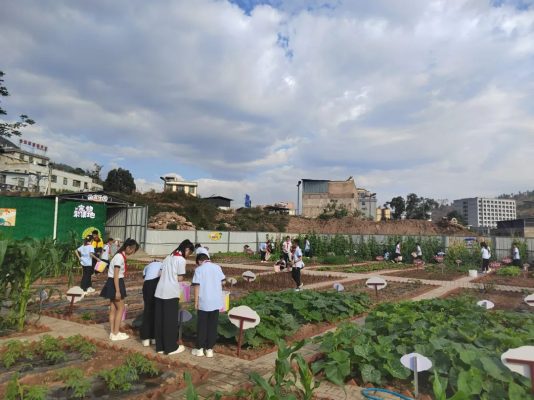 会东县第一小学践行五育并举 | 劳动教育实践基地赋能学生成长-会东网