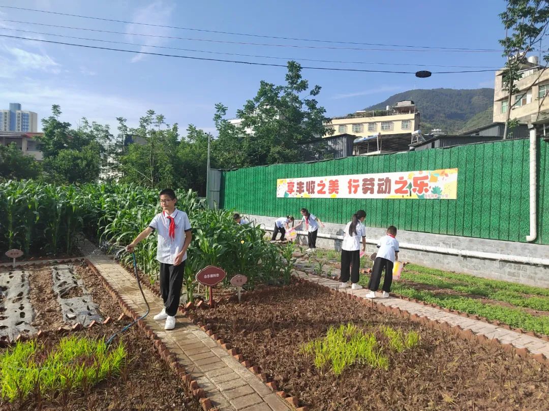 会东县第一小学践行五育并举 | 劳动教育实践基地赋能学生成长插图1 会东县第一小学践行五育并举 | 劳动教育实践基地赋能学生成长插图1