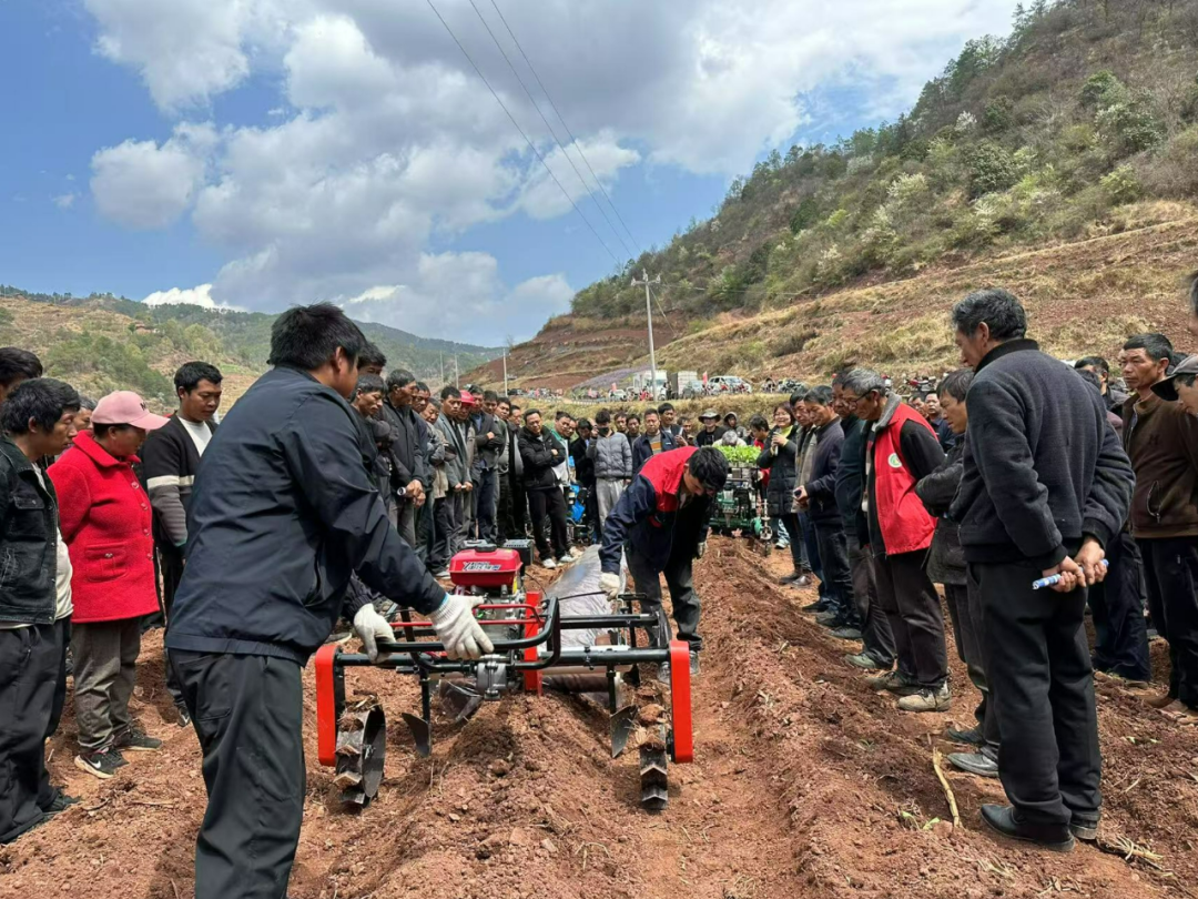 会东 “农机赛马” 点燃烟叶种植新引擎，科技赋能绘就烟农致富新图景插图1