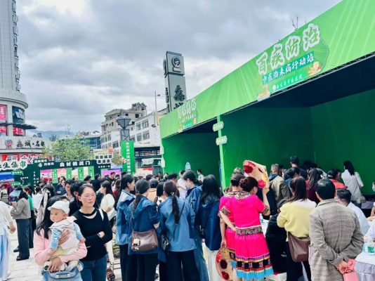 会东端午佳节“岐黄薪火”燃:中医药文化体验活动韵味足-会东网