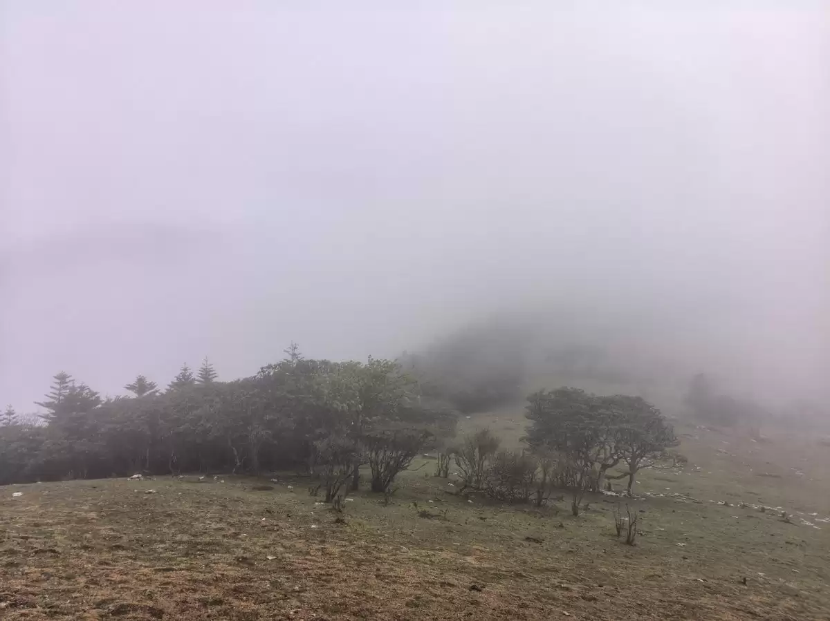探秘《中国国家地理》力荐：雷波龙头山大断崖，邂逅“地球边缘”的震撼奇景插图8