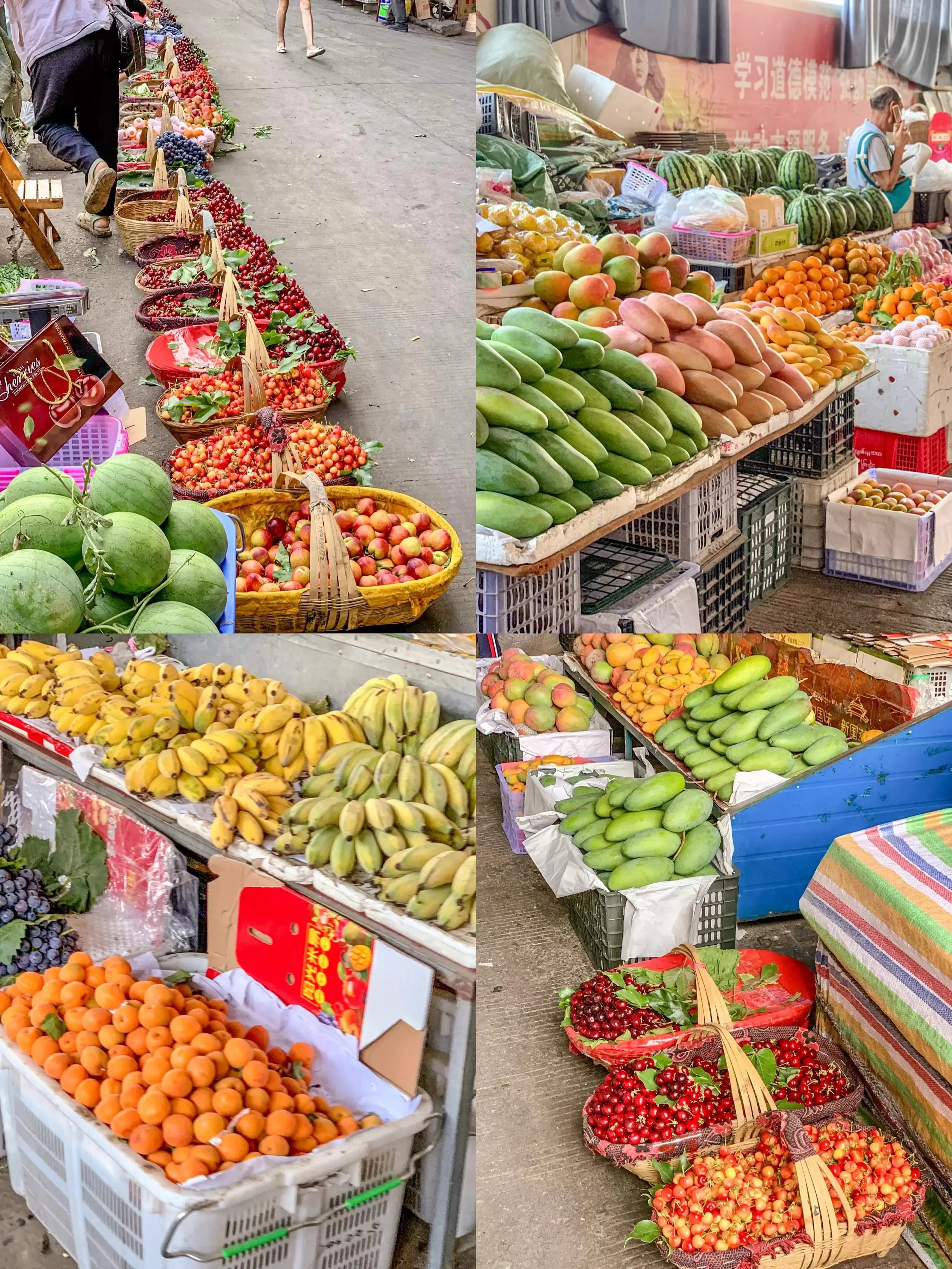 攀枝花市区和米易县，旅居养老真相大揭秘！哪里更胜一筹？插图10