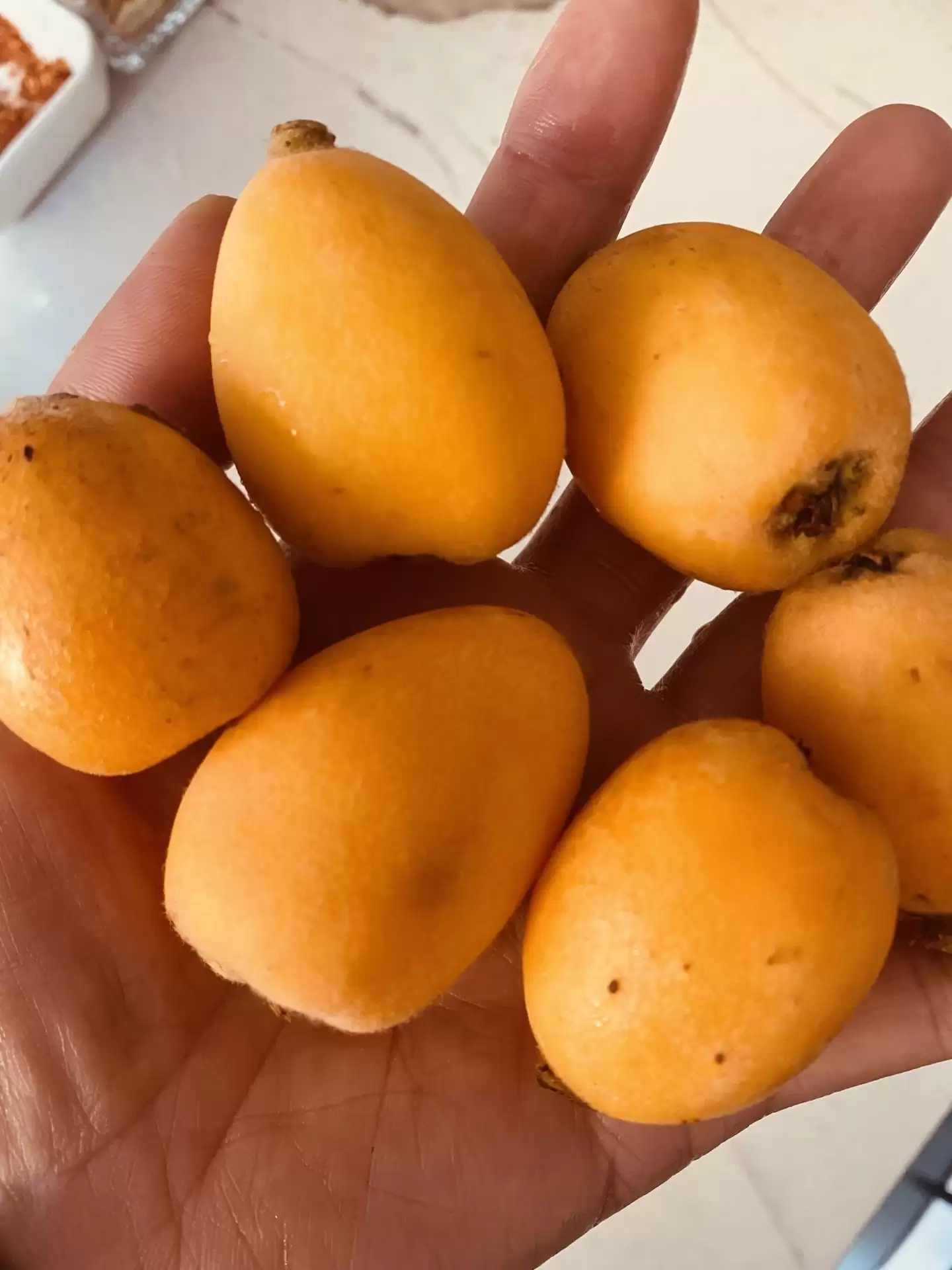 攀枝花市区和米易县，旅居养老真相大揭秘！哪里更胜一筹？插图12