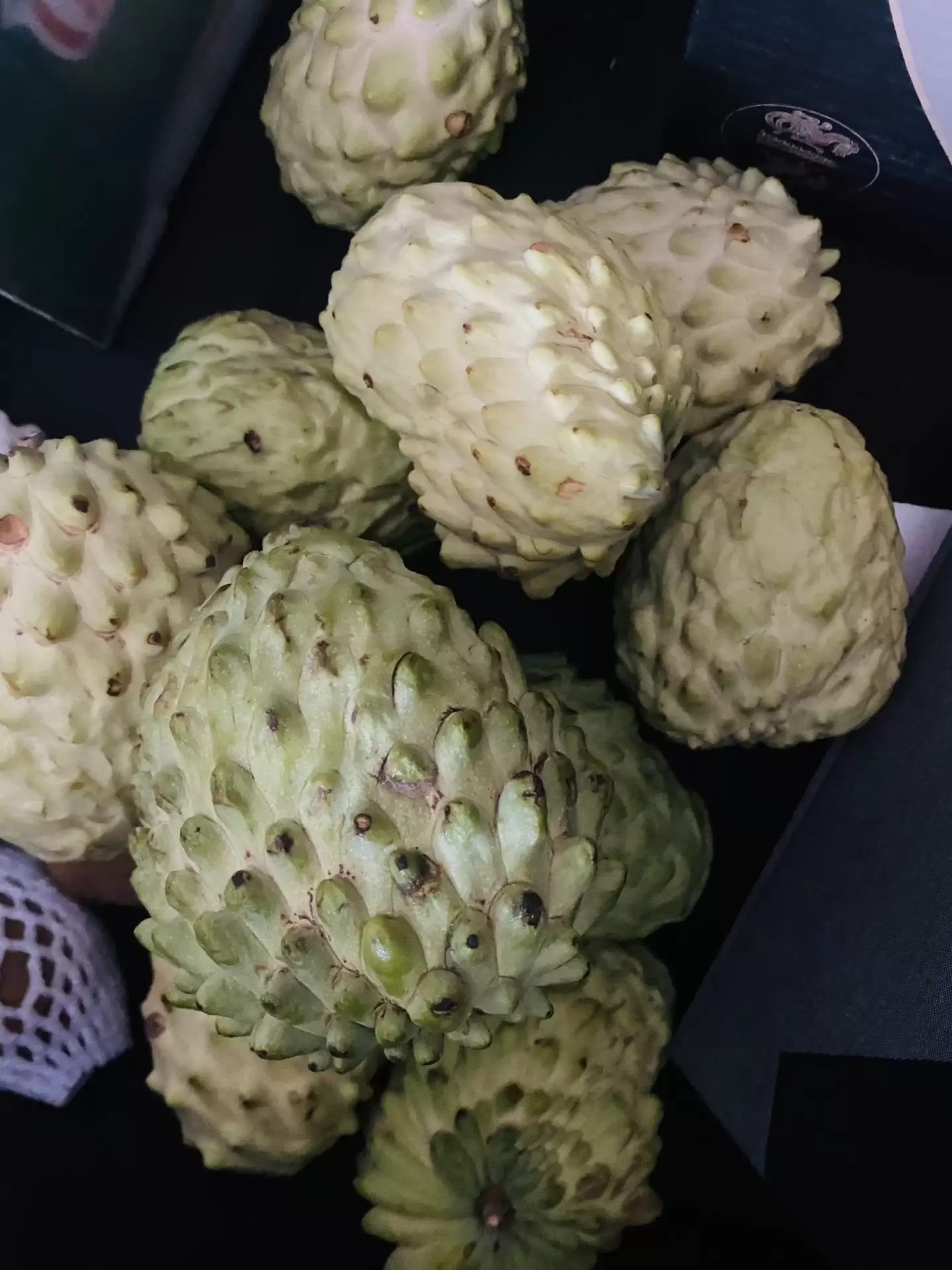 攀枝花市区和米易县，旅居养老真相大揭秘！哪里更胜一筹？插图11