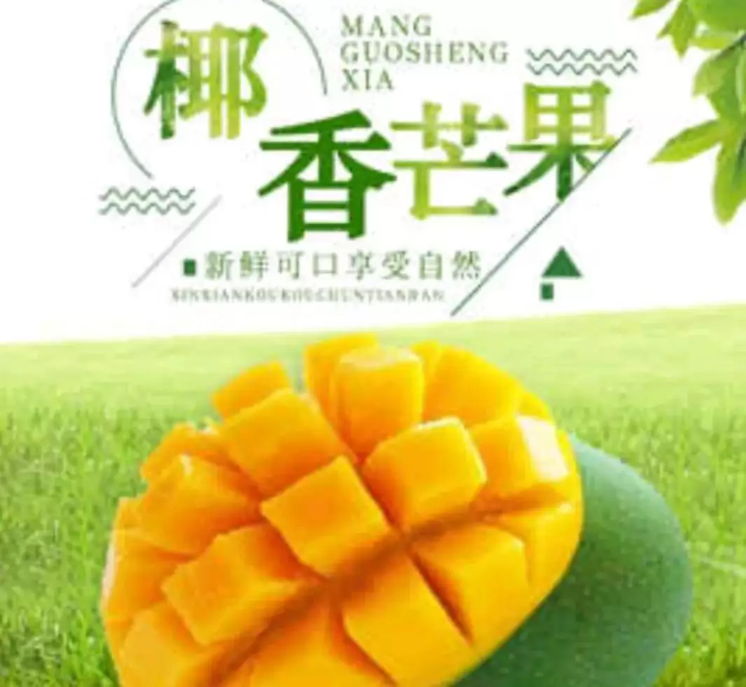 阳光花城攀枝花：一场芒果品种的甜蜜邂逅插图1