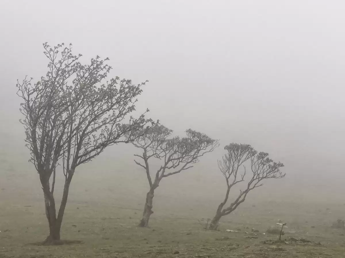 探秘《中国国家地理》力荐：雷波龙头山大断崖，邂逅“地球边缘”的震撼奇景插图3