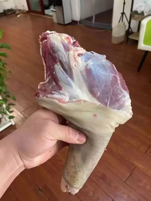 凉山州布拖县黑绵羊臻品羊肉价格及选购指南插图1 凉山州布拖县黑绵羊臻品羊肉价格及选购指南插图1