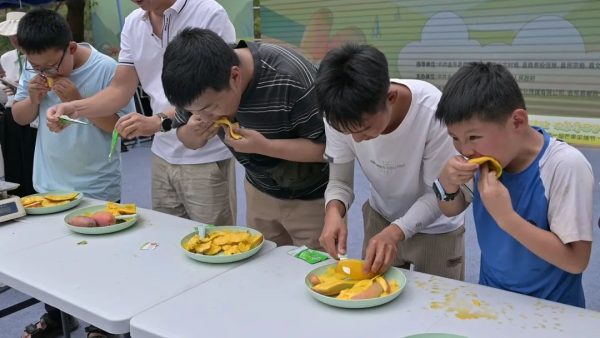 铁柳镇首届芒果采摘节启幕:农文旅融合绘就和美乡村新景-会东网